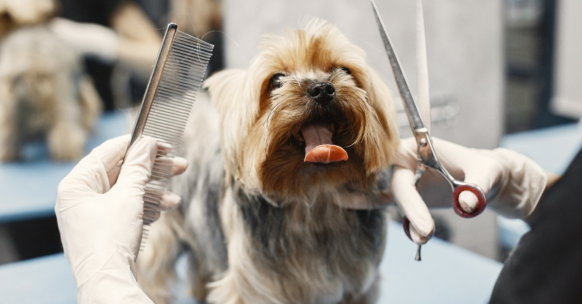 Pet Grooming Mobile Service