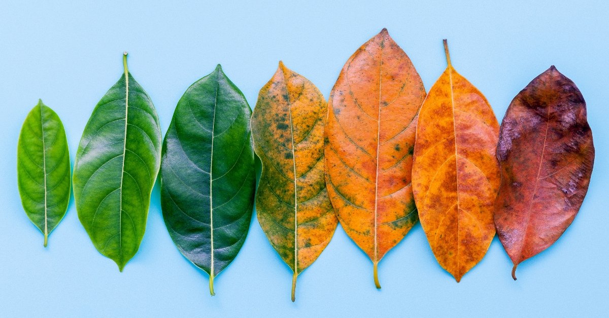 10 Smart Business Pivots That Saved Struggling Companies